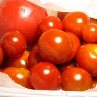 今たくさんとれてるトマトを新鮮に保存できて、いつでも美味しく食べられて、うれしいです。